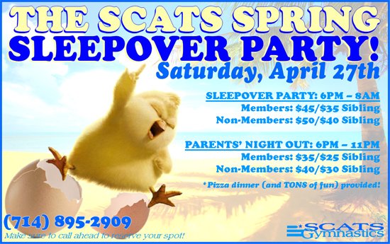 Spring Sleepover Party - Saturday April 27th, 2013
